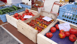 Le petit marché Le petit marché
